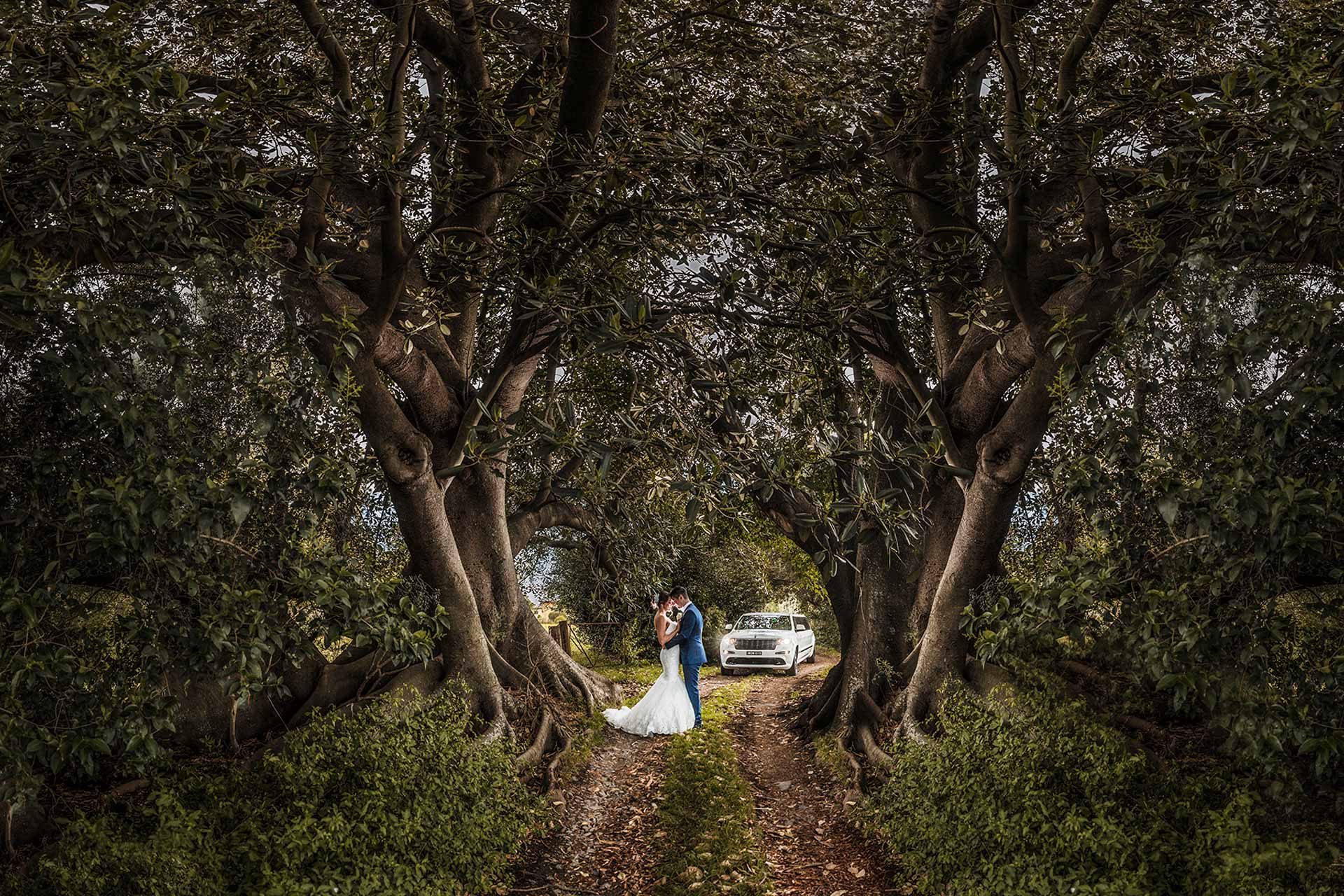professional wedding Photography in Brisbane |  Bride and groom  | Dreamlife wedding 